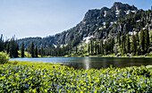 Tranquil alpine lake with wildflowers blooming in the foreground and a rugged mountain in the background; Utah, United States of America