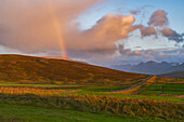 Rainbow at sunset with a road going into distance, North Iceland; Iceland