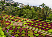 Formale Blumenbeete in den Botanischen Gärten von Madeira; Funchal, Madeira, Portugal.