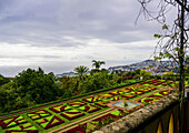 Formal flower beds in Madeira Botanical Gardens; Funchal, Madeira, Portugal