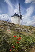 Windmühle mit Wildblumen im Vordergrund; Spanien