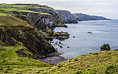 Felsige Küstenlinie bei St. Abbs Head; St. Abbs Head, Berwickshire, Schottland