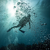 Taucher verdeckt von Blasen unter Wasser am Tauchplatz Blue Channel, Roatan Marine Park; Bay Islands Department, Honduras.