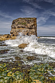 Marsden Rock, ein 100 Fuß (30 Meter) hoher Seeschornstein vor der Nordostküste Englands, gelegen in Marsden, South Shields; South Shields, Tyne and Wear, England.