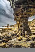 Inside Marsden Rock, a 100 feet (30 metre) sea stack off the North East coast of England, situated at Marsden, South Shields; South Shields, Tyne and Wear, England