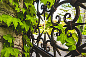 Decorative gate of Duino Castle; Italy