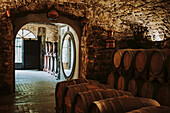 Wine cellar; Italy