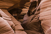 Slot Canyon bekannt als Canyon X, in der Nähe von Page; Arizona, Vereinigte Staaten von Amerika