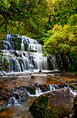 Purakaunui Falls; New Zealand