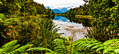 Lake Matheson with lush foliage along the shoreline; South Island, New Zealand