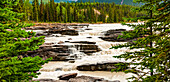 Athabasca River and Falls, Jasper National Park; Alberta, Canada