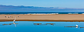Strahlend blaues Wasser und eine Sandbank mit Vögeln an der Küste von Oregon; Oregon, Vereinigte Staaten von Amerika