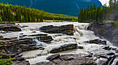 Athabasca River and Falls, Jasper National Park; Alberta, Canada