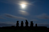 A row of moais is silhoueted against the blue of the night sky. The diffused full moon is centered at the top of the frame; Easter Island, Chile