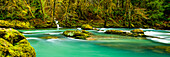 Regenwald und ruhiger Fluss mit türkisfarbenem Wasser; Oregon, Vereinigte Staaten von Amerika