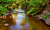 Tranquil river, Blue Mountains; New South Wales, Australia