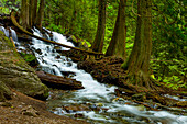 Bridal Veil Falls, Bridal Veil Falls Provincial Park; British Columbia, Canada