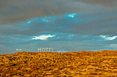 Motel sign and volcanic landscape, Reykjanes Peninsula; Iceland