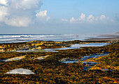 Strandspaziergänger im Nebel am Meer; Bamburgh, Northumberland, England