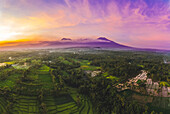 Sonnenuntergang in den Licin-Reisterrassen; Ost-Java, Java, Indonesien