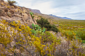 Dog Canyon National Recreational Trail, Sacramento Mountains, Chihuahuan Desert in the Tularosa Basin, Oliver Lee Memorial State Park; Alamogordo, New Mexico, Vereinigte Staaten von Amerika