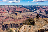 Blick auf den Grand Canyon vom Hopi Point auf dem South Rim Trail; Arizona, Vereinigte Staaten von Amerika.