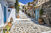 Traditional houses with white facade and colourful accents along a stone walkway; Milos, Greece