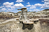Einzigartige Felsformationen, Bisti Badlands, Bisti/De-Na-Zin Wilderness, San Juan County; New Mexico, Vereinigte Staaten von Amerika