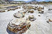Unique and patterned rock surfaces, Bisti Badlands, Bisti/De-Na-Zin Wilderness, San Juan County; New Mexico, United States of America