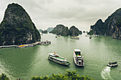 Ha Long Bucht mit Booten; Quang Ninh Provinz, Vietnam