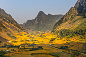 Reisterrassen, Felder und Berge in Cao Bang; Cao Bang Provinz, Vietnam