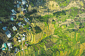 Drone view of rice terraces; Ha Giang Province, Vietnam