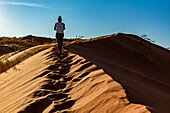 Weibliche Touristin geht auf eine Sanddüne, Elim-Düne, Namib-Wüste; Sesriem, Namibia.