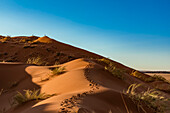 Silhouettierter Tourist steht auf dem Gipfel einer Sanddüne, Elim-Düne, Namib-Wüste; Sesriem, Namibia.