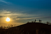 Silhouetted group of tourists stand looking out at the top of a sand dune, Elim dune, Namib Desert; Sesriem, Namibia