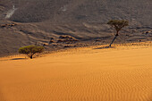 Blick von der Düne 45, Sossusvlei, Namib-Wüste; Namibia.