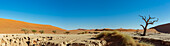 Deadvlei, eine weiße Lehmpfanne, umgeben von den höchsten Sanddünen der Welt, Namib-Wüste; Namibia.