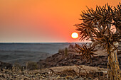 Sonnenaufgang im Hardap Resort; Hardap Region, Namibia