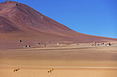 Salvador-Dal?-Wüste; Potosi, Bolivien