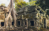 Ta Prohm Temple in the Angkor Wat complex; Siem Reap, Cambodia