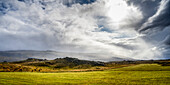 Grünes Feld und Sonnenlicht, das durch die Wolken in Ostisland bricht; Fljotsdalsherao, Ostregion, Island