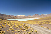 Schotterstraße führt zu einer hochgelegenen Lagune inmitten einer farbenfrohen südamerikanischen Landschaft in den Anden, Eduardo Avaroa Andean Fauna National Reserve; Potosi, Sur Lipez, Bolivien