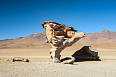Rock Tree (Arbol de Piedra) on the Bolivian altiplano; Potosi, Bolivia
