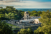 Tempel des Grafen - Ruinen der Maya-Stadt Palenque; Chiapas, Mexiko