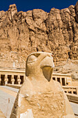 Falkenskulptur, Totentempel der Hatschepsut (Deir el-Bahri), UNESCO-Welterbe; Luxor, Ägypten
