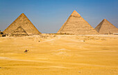 Einheimischer auf Kamel, Pyramidenkomplex von Gizeh, UNESCO-Welterbe; Gizeh, Ägypten