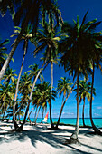 Emerald Palms Resort Süd-Andros, Die Bahamas