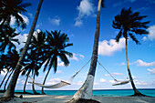 Hammocks and Palm Trees, Emerald Palms Resort, South Andros, The Bahamas