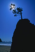 Pazifikküste, Olympic National Park, Washington, USA