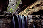 Zion National Park Utah, USA